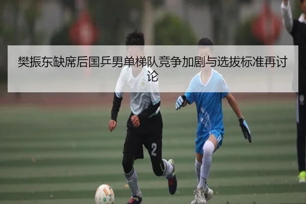 樊振东缺席后国乒男单梯队竞争加剧与选拔标准再讨论 - kayuin