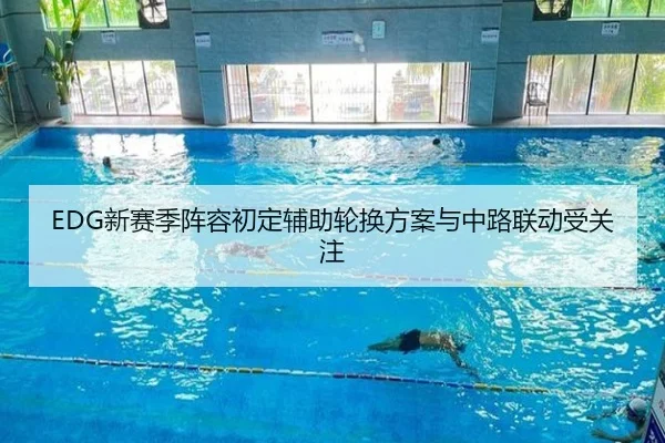 EDG新赛季阵容初定辅助轮换方案与中路联动受关注（kayuin）